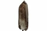 Massive Smoky Quartz Crystal ( lbs) - Brazil #206849-11